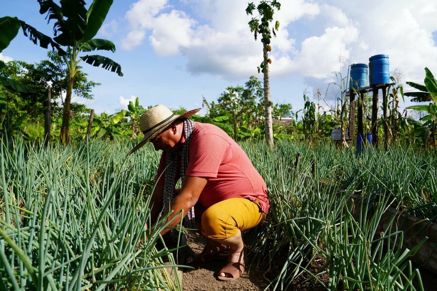 Edgar, un ex-combattant des FARC, avec les cultures d'oignons qu'il cultive grâce au soutien du PAM