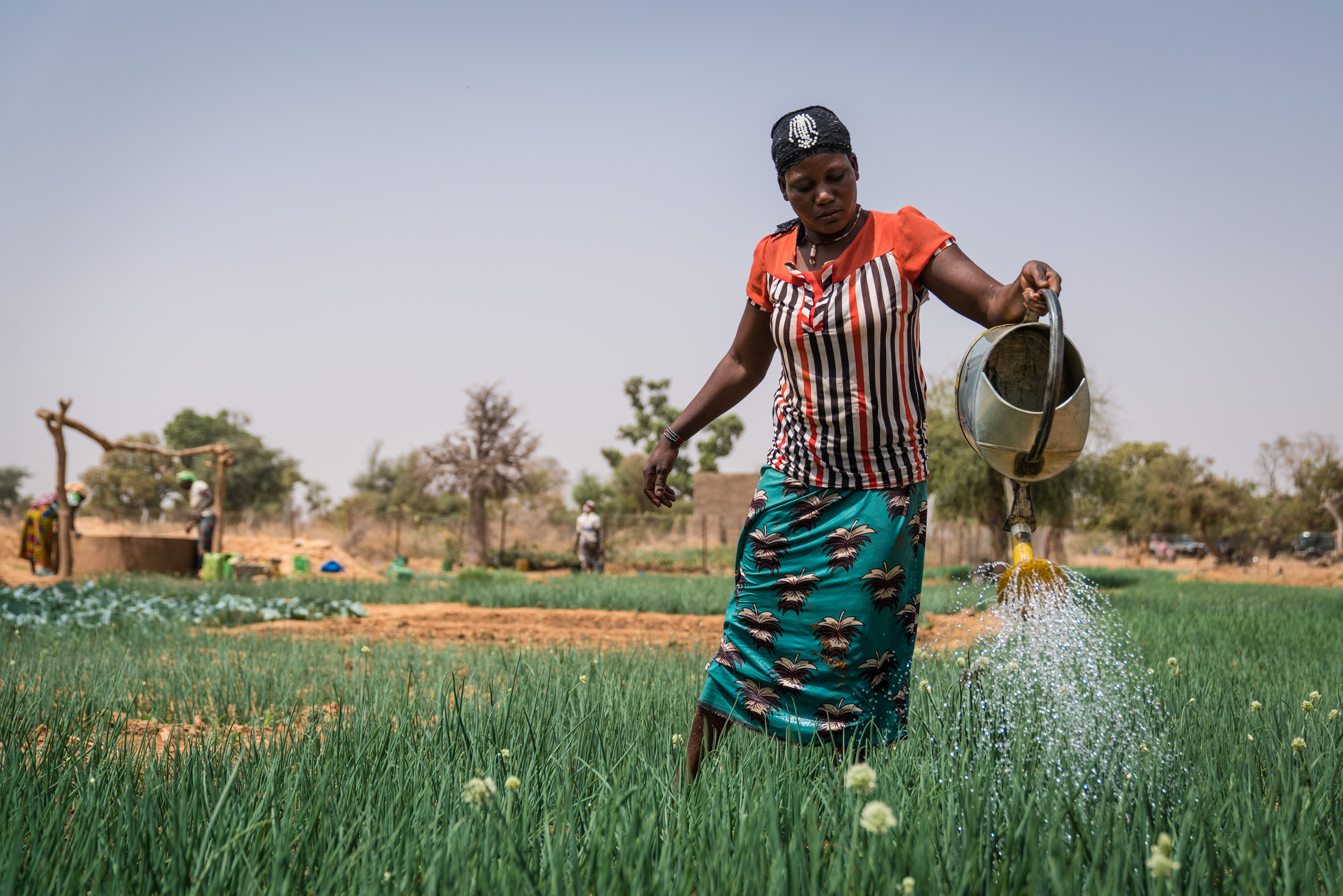 Une femme arrose un jardin maraîcher au Burkina Faso. Photo :  WFP/Evelyn Fey