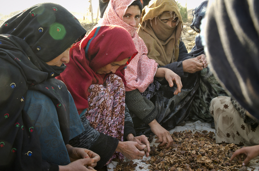 L’aggravation de l’insécurité alimentaire en Afghanistan est « extrêmement alarmante » selon un rapport diffusé par des agences de l’ONU et leurs partenaires