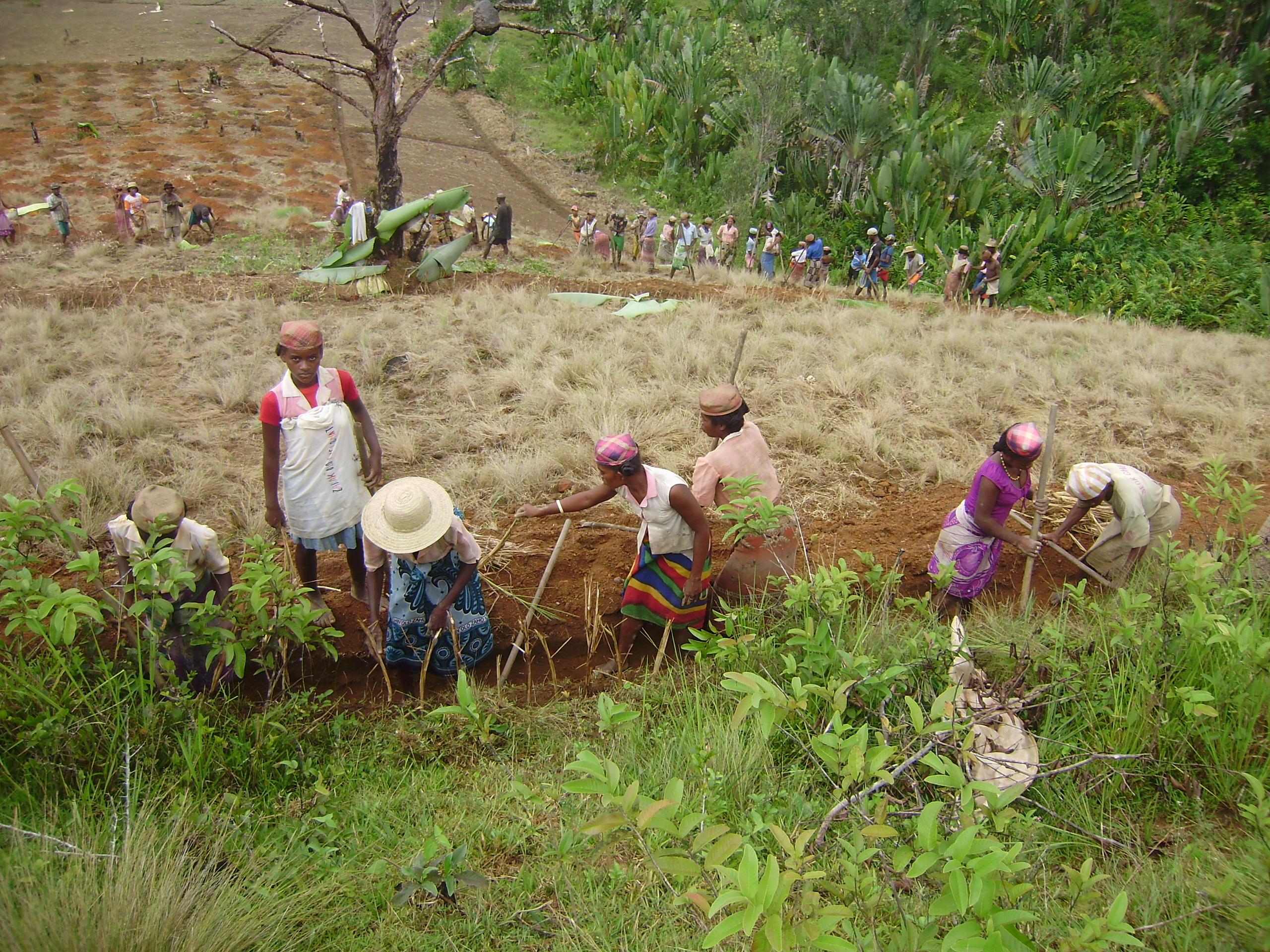 Madagascar: le PAM se prépare à la saison cyclonique avec l'appui de la Suisse