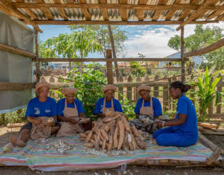 Le programme P4P à Madagascar vise à accroître les possibilités des petits exploitants agricoles et à faciliter leur accès aux marchés agricoles. Photo : PAM/Giulio d'Adamo