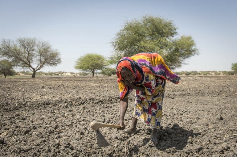 5 raisons pour lesquelles le changement climatique entraîne la faim dans le monde