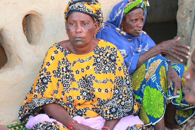 L’inclusion des femmes dans les activités de développement au Sahel: le combat de Fatou Seydou Ndiaye