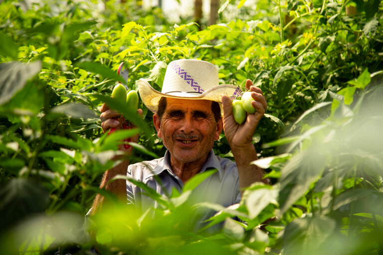 El Salvador : cultiver de "l'or vert" dans le couloir sec d'Amérique centrale