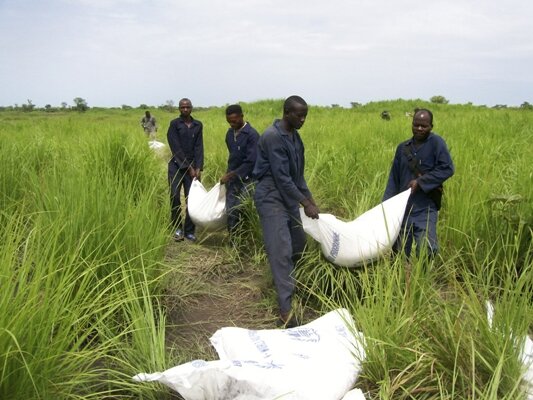 Ituri : le PAM apporte une assistance alimentaire d'urgence aux déplacés d'Aveba et Ozoba