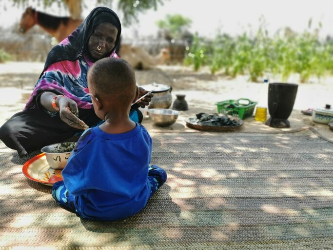 Parlons de nutrition : vers une capacité technique renforcée et un comportement communautaire amélioré pour un avenir meilleur au Tchad