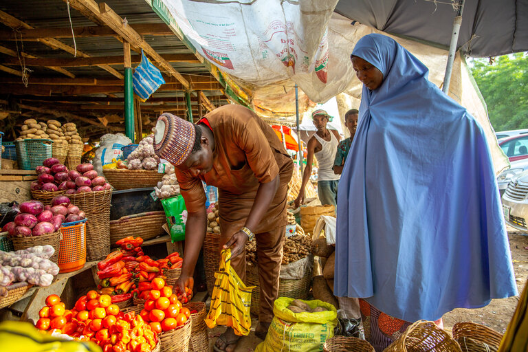 Augmentation d'un tiers de l'insécurité alimentaire en Afrique de l'Ouest due à la flambée des prix des denrées alimentaires et les conflits
