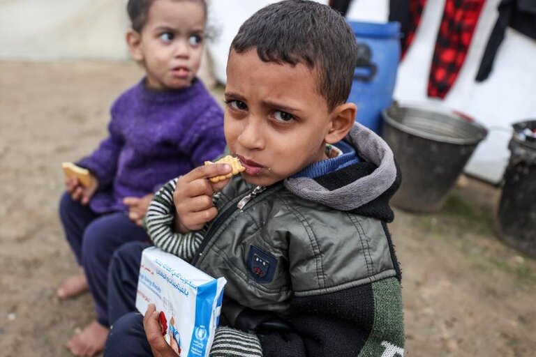 La famine est imminente dans le nord de Gaza, prévient un nouveau rapport