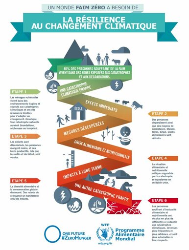 La résilience au changement climatique