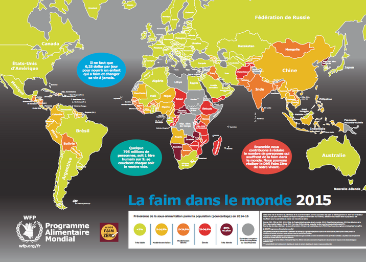 Carte de la faim dans le monde 2015