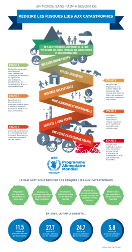 Infographique : Comment les catastrophes naturelles ménent à la faim