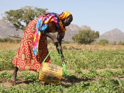 Une femme travaillant dans les champs