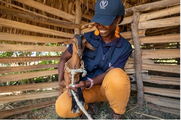 Once the next generation of goats is fully grown, they are gifted to other community members in an official ceremony. 