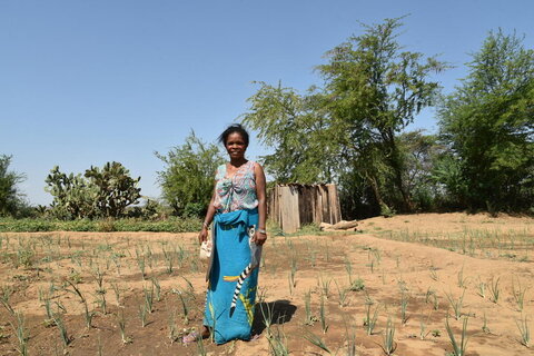 Un horizon d’espoir : comment les agriculteurs de Madagascar défient la sécheresse avec l'assurance agricole du PAM