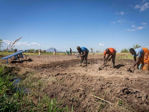 En Afrique australe, la sécheresse provoquée par El Niño laisse dans son sillage des récoltes brûlées et la faim