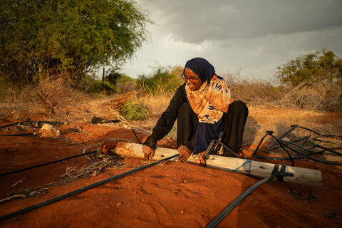 Retour à la ferme : en Afrique, les jeunes renforcent la sécurité alimentaire