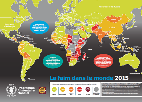 Carte de la faim dans le monde 2015