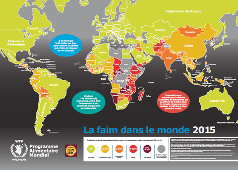 Carte De La Faim Dans Le Monde 2015 World Food Programme