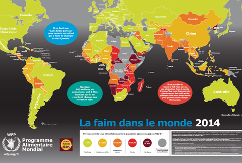 Carte de la faim dans le monde 2014