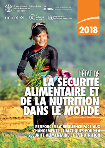Publication du rapport de l'état de la sécurité alimentaire et de la nutrition dans le monde