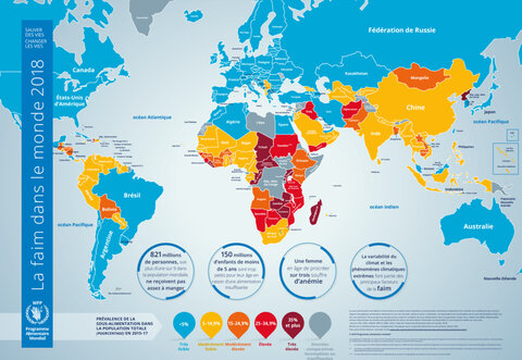 La faim dans le monde 2018