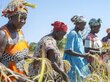 Ramatoulaye et ses amis membres du GIE Tankanto Escale de Talto Diéga récoltant du riz sur leurs parcelles rizicoles à Saré Pathé Kamako — Kolda Photo : WFP/ Martin DIXON