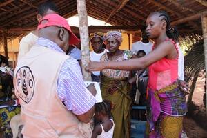 Centrafrique: l’agriculture et les familles pâtissent de l’insécurité