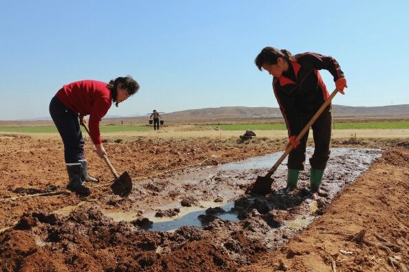 Photo: WFP/James Belgrave