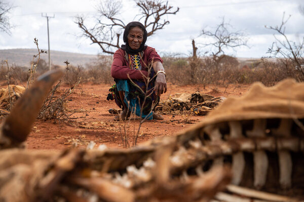  PAM/Michael Tewelde. Une femme aidée dans le cadre du programme de filet de sécurité du PAM, assise à côté de ses cadavres d'animaux dans lesquels elle a perdu plus de 20 de ses bêtes à cause des sécheresses successives.