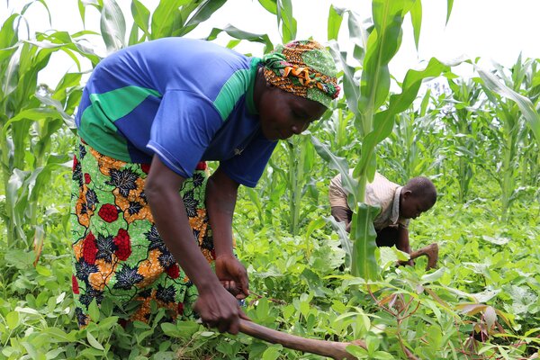 En République Centrafricaine le PAM étend ses achats locaux des vivres afin de booster l’économie locale et les moyens de subsistance et faire du bien aux écoliers