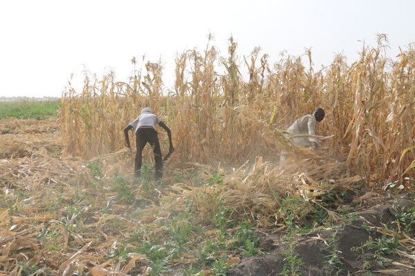 L’Union Européenne accroît sa contribution dans la zone du Lac Tchad pour 62 500 personnes