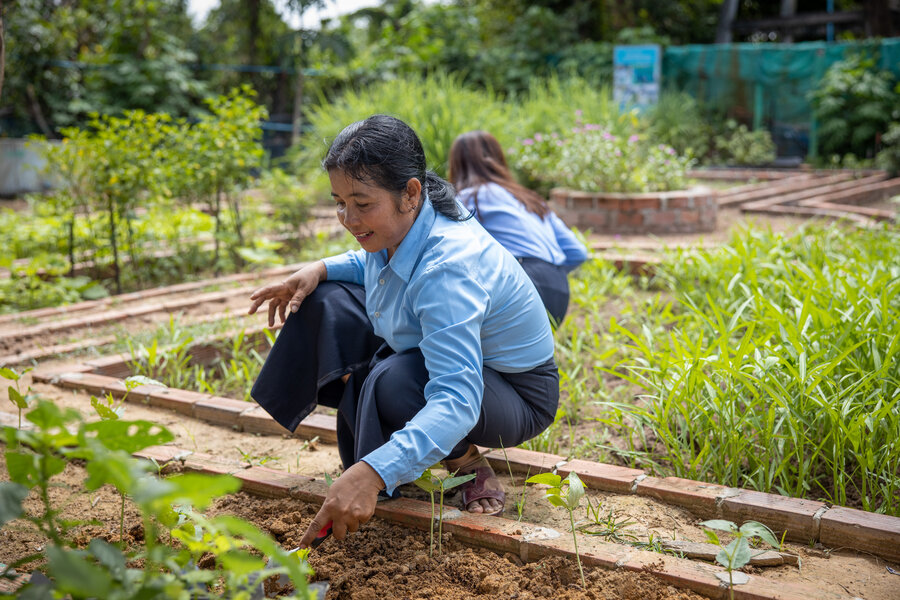 school garden