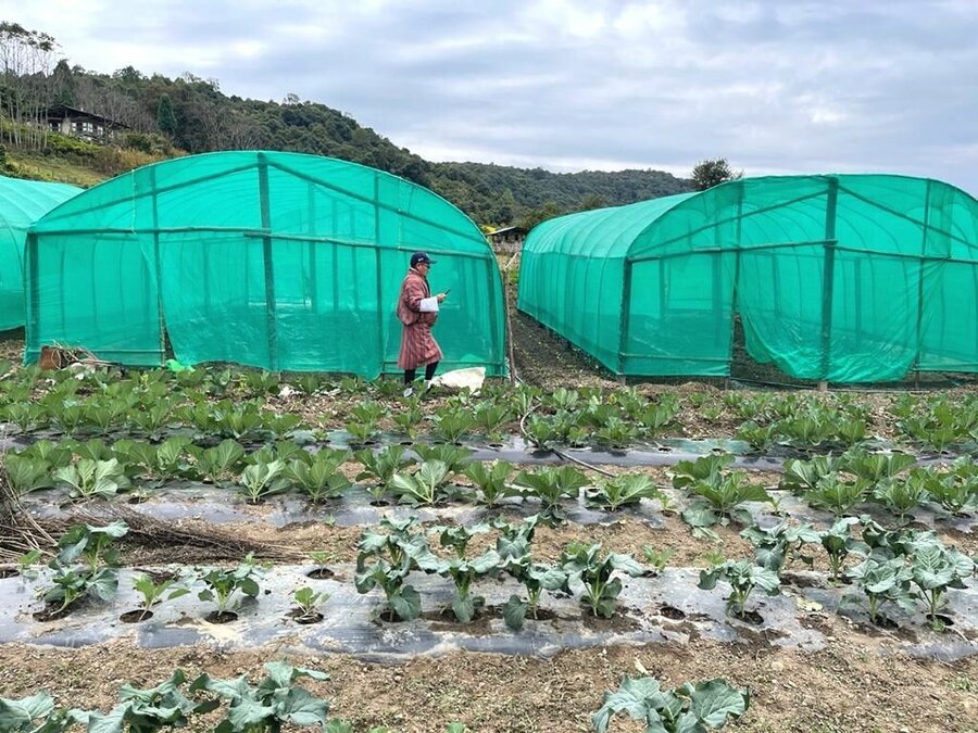 Man in field