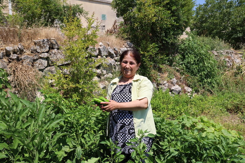Ghada picks fresh crops from her backyard to package and sell to her community.