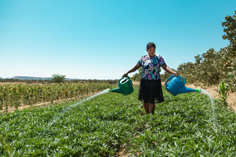 Woman watering field in Madagascar