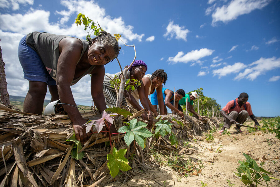 A resilience project in Paul Atrel, Jean Rabel Commune, in Haiti’s Nord-Ouest Department. Photo: Theresa Piorr