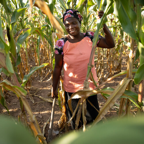 a woman is working at field 