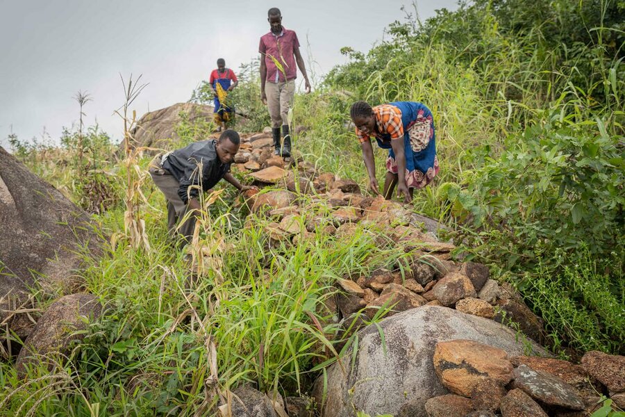 Malawi farmers at work in building the bunds - they hope neighbouring villages will be inspired to do the same. Photo: WFP