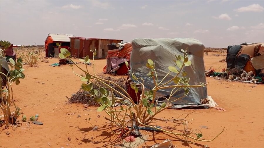 The sand-swept Daryeel IDP camp in Somalia, where residents have few opportunities to earn livelihoods. Photo: WFP/Patrick Mwangi 