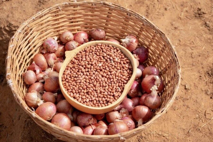 Onions and groundnuts harvested by Reka's smallholder farmers, helping to boost their incomes in the West African country, where hunger is growing. Photo: WFP/Cheick Omar Bandaogo