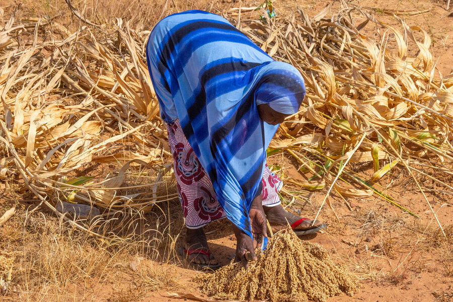 A woman tends to her crop in Reka, Burkina Faso. The resilience project aims to grow incomes and reduce dependence on humanitarian aid. Photo: WFP/Cheick Omar Bandaogo