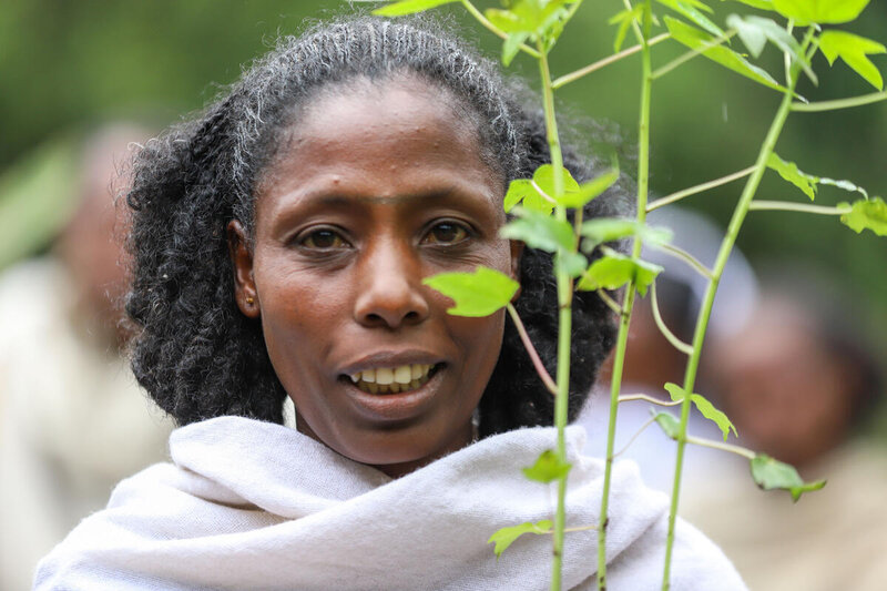 Ethiopian woman smiling behind a plant