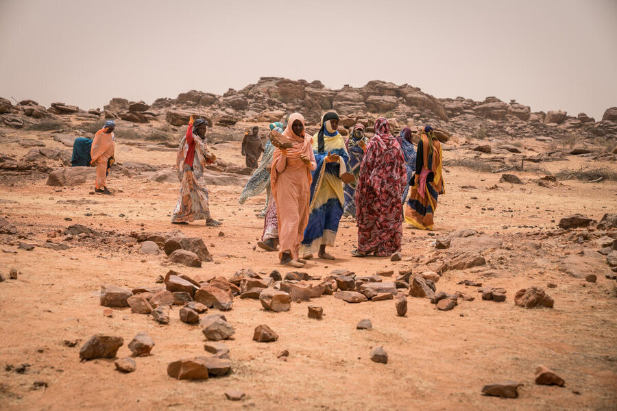 Women collect stones for a WFP project to restore lands and livelihoods in Mauritania. WFP/Evelyn Fey