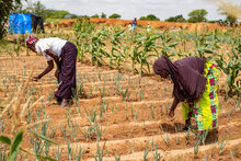 Des agricultrices au Burkina Faso. Photo:  WFP/Brunel Ouangraoa