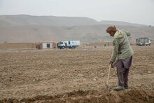 Photo: WFP/Julian Frank, Les agriculteurs de la province de Balkh avec le convoi du PAM en arrière-plan