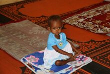 Tchad : Près d’une personne sur deux en situation d’insécurité alimentaire dans la bande sahélienne