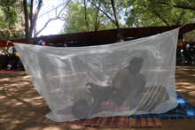 Moustiquaires imprégnées : meilleur rempart contre le paludisme