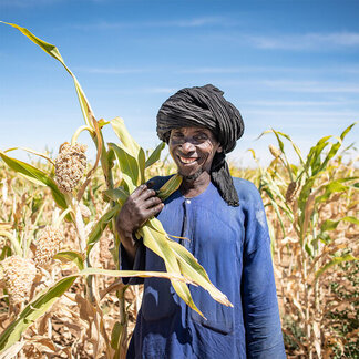 Un agriculteur à Gvava Gourjeme