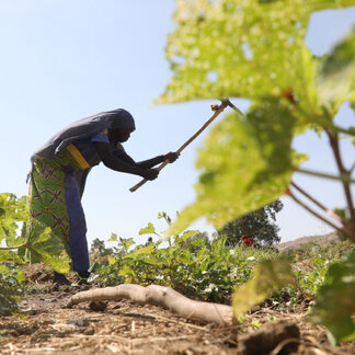 les personnes travaillant sur le terrain