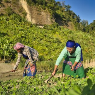 Myanmar - Résilience 